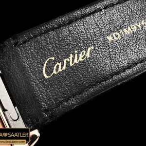 CAR0429B - Santos De Cartier 2018 Mens RGLE Wht Swiss Qtz - 11.jpg